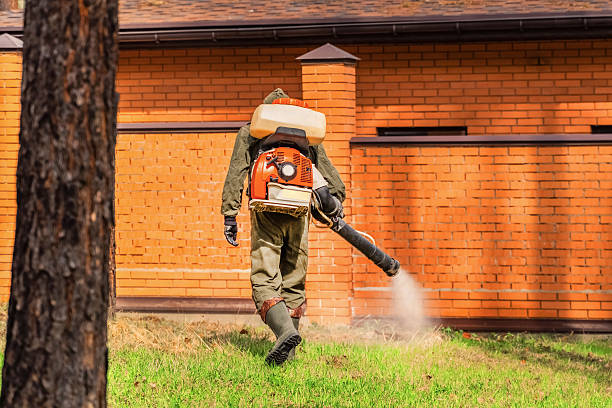 Bed Bug Clearance Verification and Documentation in Elsa